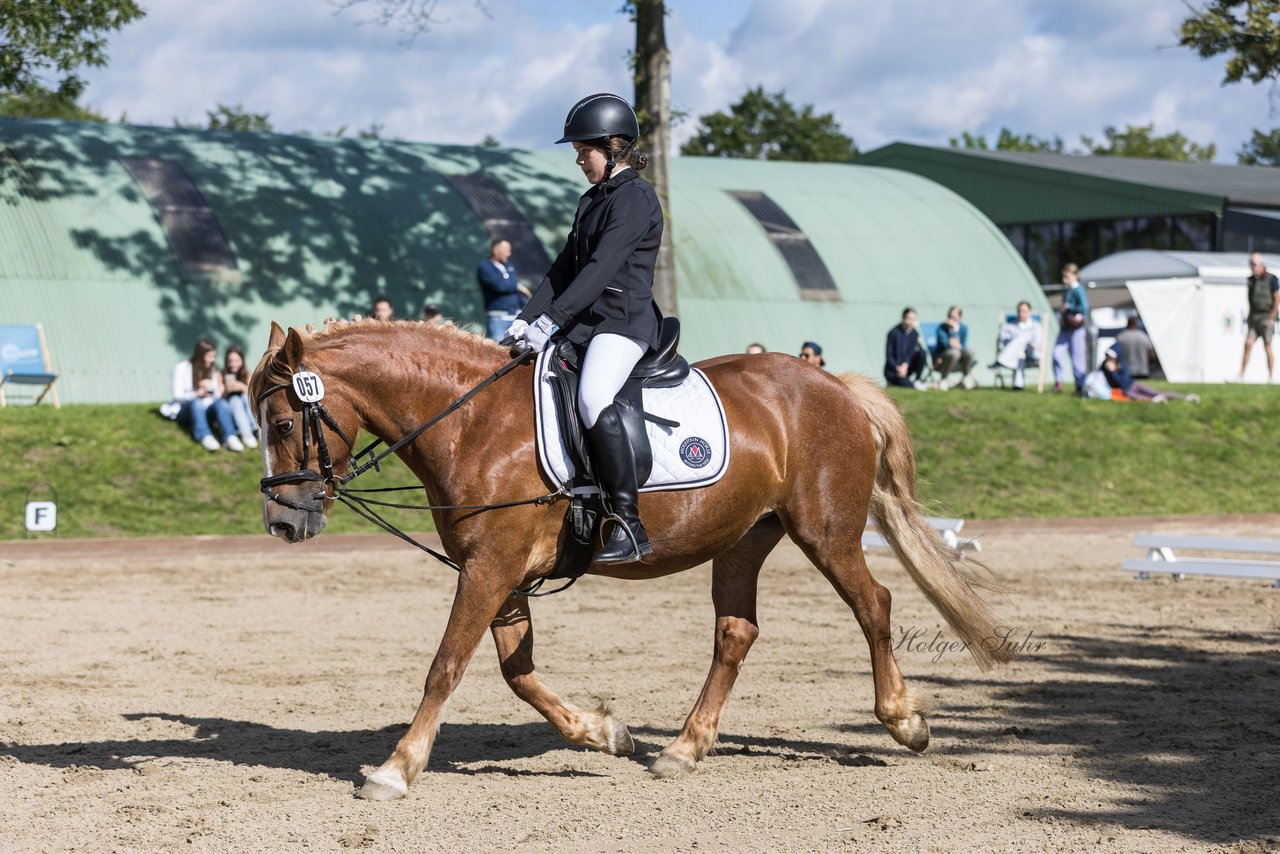 Bild 94 - Pony Akademie Turnier
